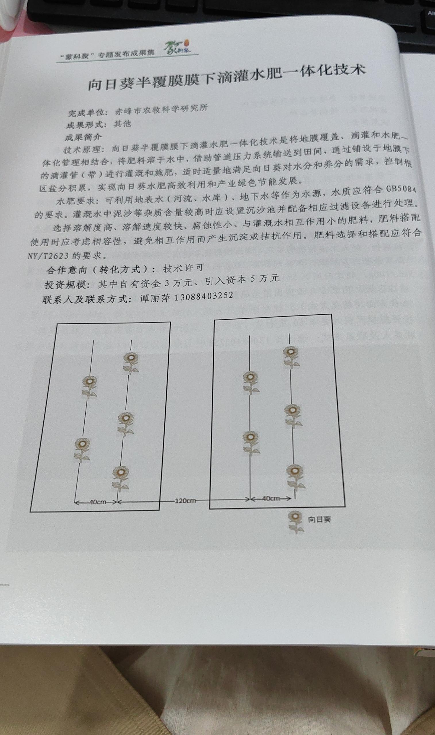 cb39ea49af7c944090c7ff62bc980ebe_compress.jpg